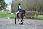 Dressage portfolio