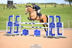 Cls 6 Snr Fox and 1.20m Open portfolio