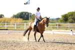 SBM_007774
