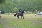 NGP_7981