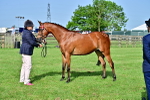 SBM_00965