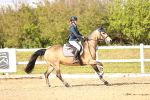 SBM_003180