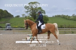 BPP_7238