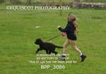 BPP_3086