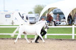 SBM_05853