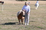 WJ6_7365