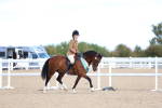 SBM_08981