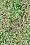 SBM_07857