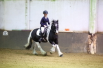 SBM_000238