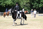 WJ7_3438