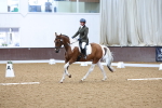 SBM_001230