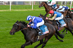 130526-Race 4-Elmonjed-0249