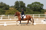 SBM_005751