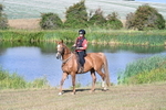 WJ7_3215