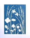 'Summer Meadow' One of a kind original cyanotype