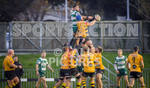 Guernsey Raiders v Canterbury_2022-69