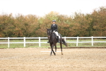 SBM_001931