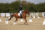 SBM_021908