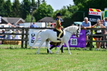 SBM_06438