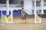 SBM_003952