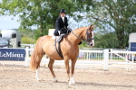 SBM_03349