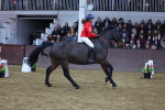 SBM_003545