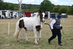 WJ6_5330
