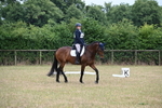 WJ6_9169