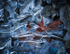 UNDER ICE #8 - NORFOLK COUNTY