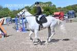 BPP_6993