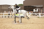 SBM_008919