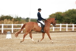 SBM_001649