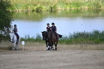 WJ6_8917