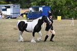 WJ6_6478