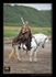 equiscot 8711