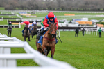 240126-Race 7-Ma Shantou-7724
