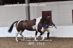 BPP_1313