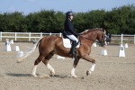 SBM_020243
