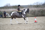 SBM_008137
