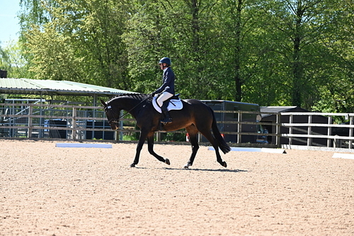 WJ6_8881