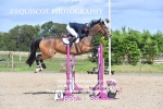 CLASS 7 SAT Senior Foxhunter/ 1.20m Open portfolio