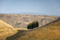 Poukawa, Hawke's Bay