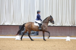 SBM_000931