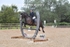 BPP_0776