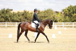 SBM_018197
