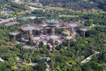 Supertree Grove from Sands Skypark, Singapore