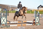 Clear Round 40cm and 50cm portfolio