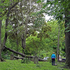 Post-Tropical Storm Arthur - 3