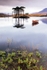 Loch Assynt in the rain