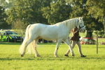 SBM_57299